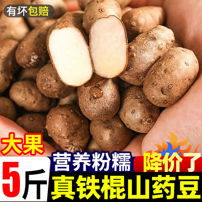正宗铁棍山药豆5斤现挖铁杆山药小白嘴怀山当季农家新鲜蔬菜包邮3