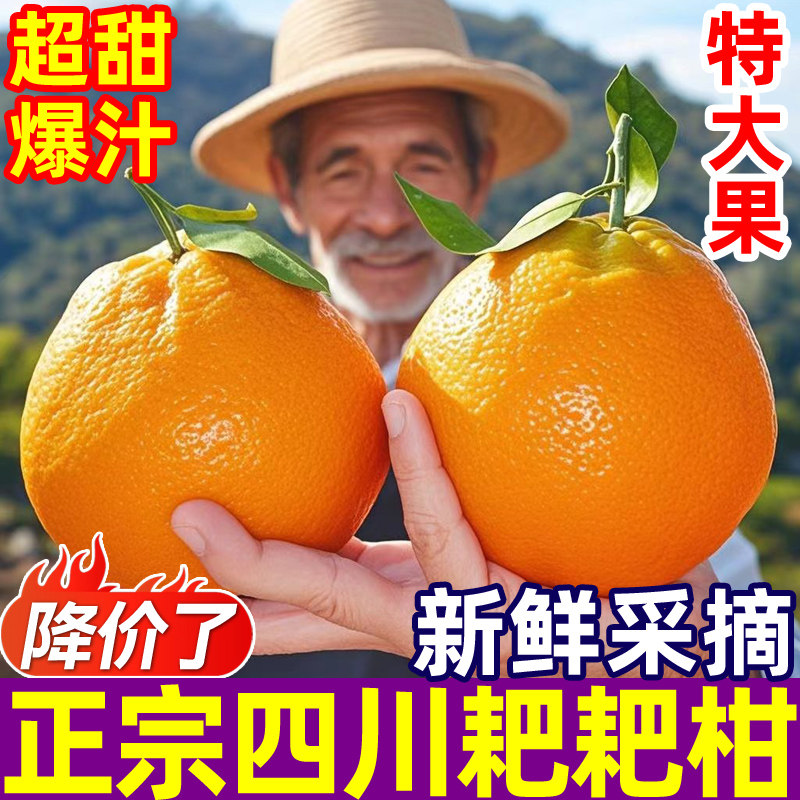 四川精选春见耙耙柑新鲜水果桔子丑柑粑3斤新鲜橘子当季整箱包邮