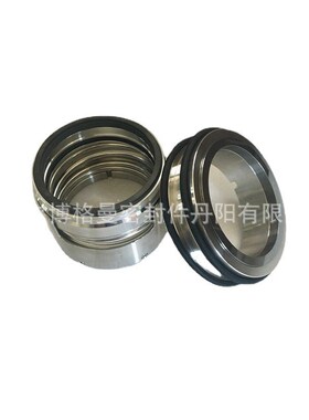 丹阳博格曼机械密封11-HJ97GN5/100-00吸收塔搅拌器50SV30M-5.61