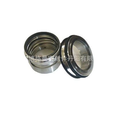 丹阳博格曼机械密封11-HJ97GN5/100-00吸收塔搅拌器50SV30M-5.61