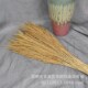 金丝草小芦苇 干花花束家居店铺软装 插花简约拍摄道具自然风干花