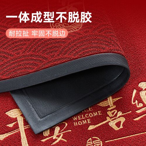 入户门地垫进门高级感家用玄关门口地毯乔迁门外耐脏W免洗防滑脚