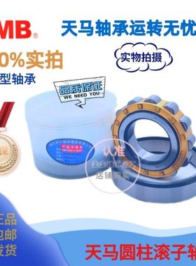 TMB天马圆柱滚子轴承N319 320 321 322 324 326 328 330EM/C3C4Z1