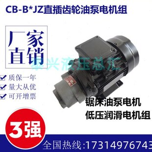 B6内插式 CBW 0.55KW B2.5 10JZ润滑泵0.37 锯床油泵电机CB