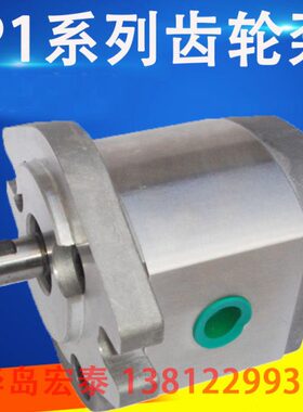 齿轮泵 P105RP01G P106RP01G P107RP01G P108RP01G P109RP01G GT