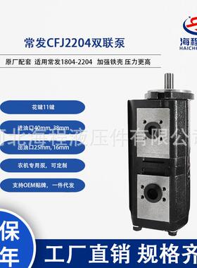 厂家直销 常发CFJ2204双联泵 原厂配套 适用常发1804-2204