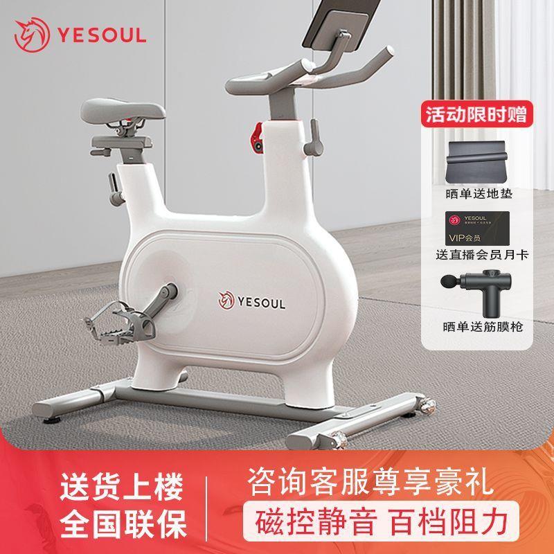 YESOUL野小兽自发电动感单车用智能运健身室内器材静音M2M