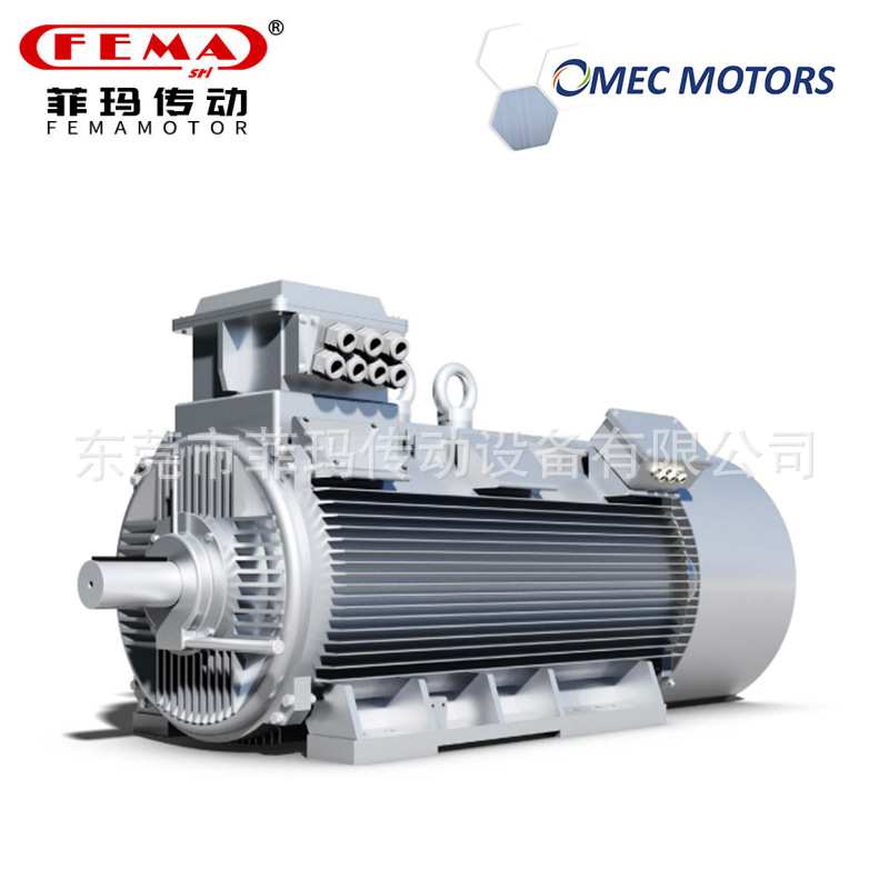 荷兰Omec Motors电动机2.2KW-230KW/高压电动机/OMT4 0.37KW