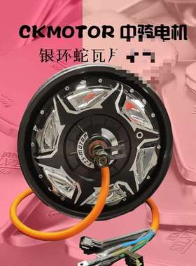 中骑银环蛇12寸3000WP4000WP5000wp电机非全顺豫马瓦片