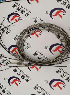 WRMK2-592电缆式铠装热电偶WRFK-461WRMK-121