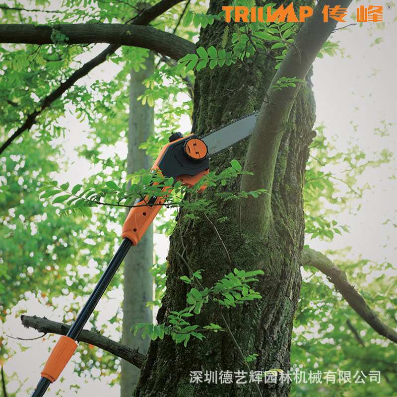 传峰高枝锯36V锂电充电式高空锯修枝锯修剪树枝锯电动伸缩杆链锯