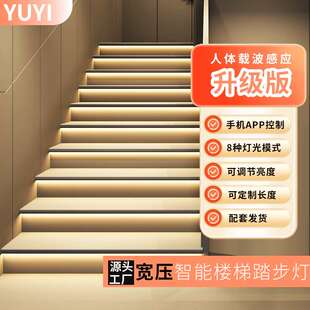 楼梯感应灯宽压智能可调亮度酒店别墅载波人体感应踏步灯led灯