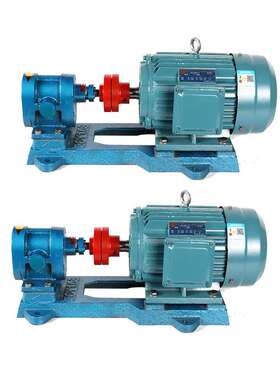 2CY齿轮油泵铸铁整机  保温齿轮泵 卧式2cy油循环抽油