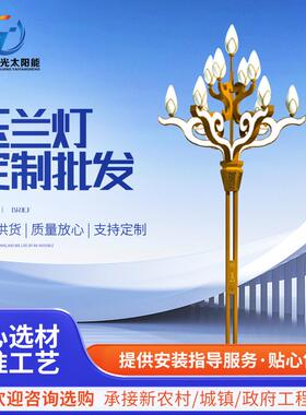 LED户外广场玉兰灯6米8米市政园林景区道路照明大功率中华景观灯