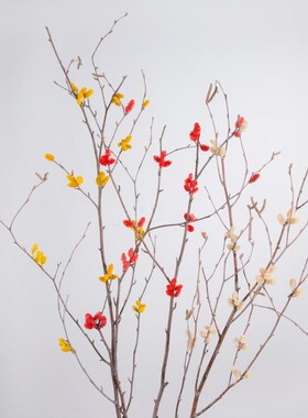 干支花干枝装饰花山捻枝枯树枝装饰干花树枝插花天然家居软装