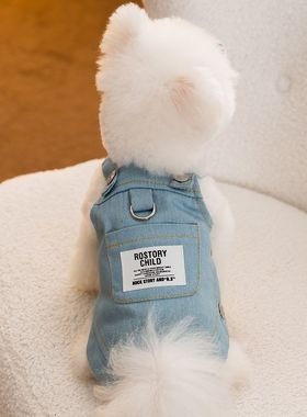 秋冬季狗狗口袋牛仔背带裙中小型犬两脚猫咪连衣裙宠物公主风衣服
