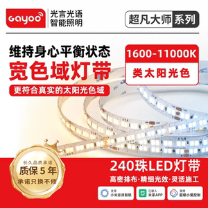 光言光语智能一体电源双色调光