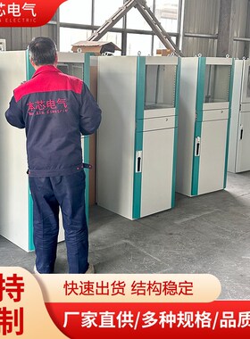 仿威图豪华PC电脑柜直供工业电脑柜plc控制柜配电箱可定制