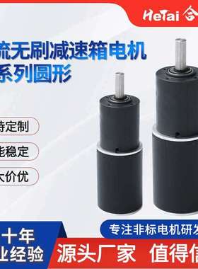 合泰电机 42BLY直流无刷减速箱电机微型机用直流马达减速电机