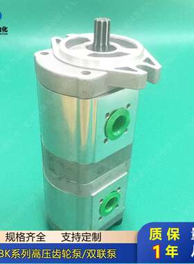 双联齿轮泵CBK1010/06 CBK1010/04 CBK1008/08 CBK1008/06质保1年