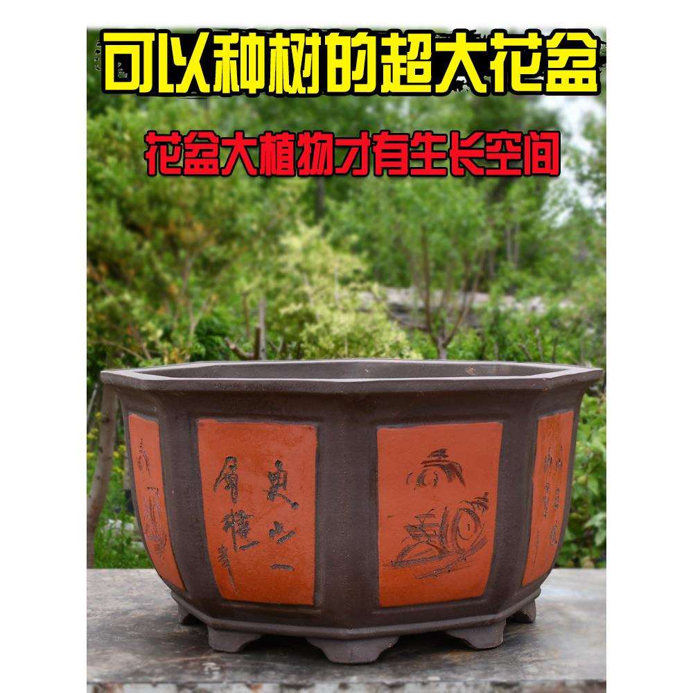 大花盆户外庭院天台大型绿植发财树六角陶瓷花盆大号特大号超大