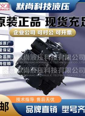 德国哈威HAWE柱塞泵 V60N-090LSFN-2-0-03LSNR/ZW 原装进口液压泵