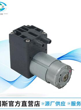 厂家供应 DX395有刷电动微型气泵 12v微型气泵DX312-2806-6000