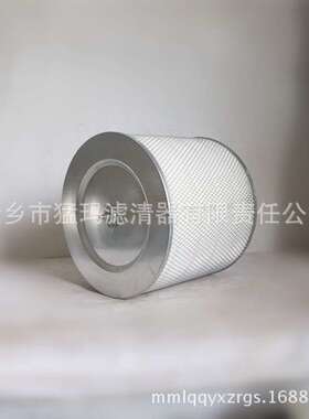 DSR-30A空压机滤芯配件替代件空气滤芯6立方GY028200078-H1