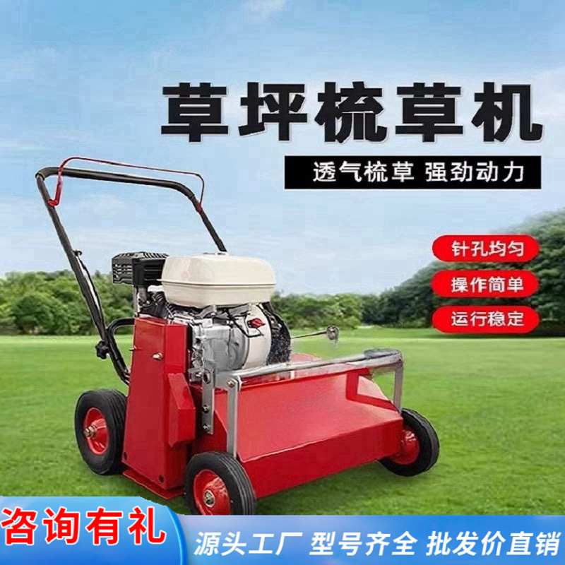 手推式草坪清扫机 电动背负座驾刷草小型二冲程出口汽油梳草机