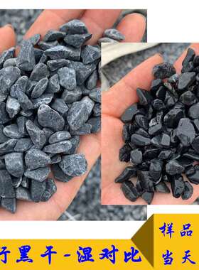 供应黑色洗米石 太行黑砾石 园林铺路黑石子 水磨石骨料 胶粘石