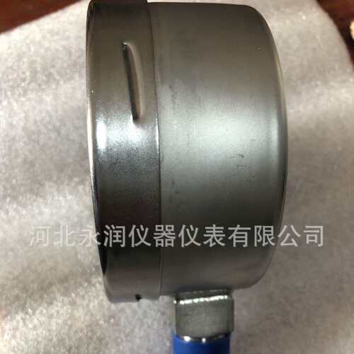 北京布莱迪 BLD  全钢耐震膜盒压力表  YEFN-100.AO  膜片表 BLD