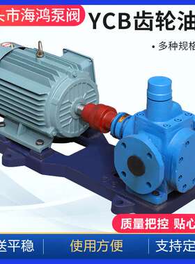 YCB圆弧齿轮泵 厂家供应ycb10化工圆弧齿轮泵 卧式铸铁齿轮泵