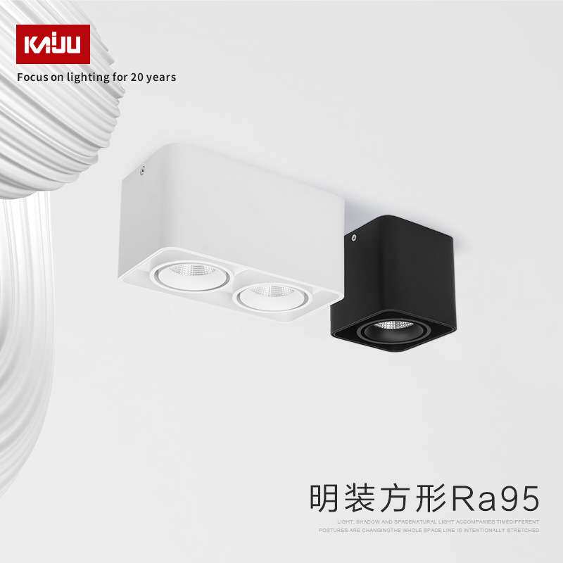 COB筒灯led双头斗胆灯射灯客厅天花灯过道无主灯照明现代简约