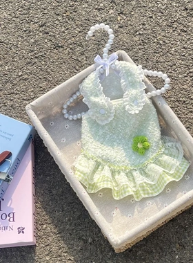 宠物狗狗衣服蕾丝花边花朵春秋比熊泰迪博美猫咪小型犬约克夏裙子