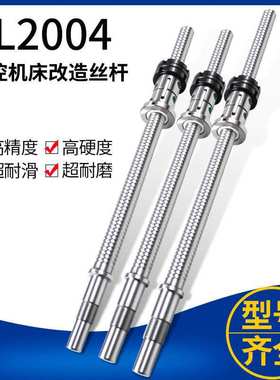 数控机床滚珠丝杆FL2004LH改造仪表丝杆精密螺母丝杆420/501长580