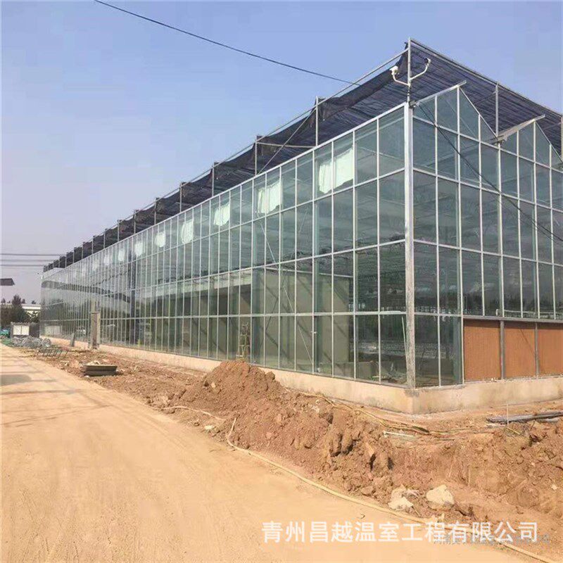 玻璃温室大棚暖棚西瓜蔬菜养殖农业观光可配遮阳网 智能骨架大棚