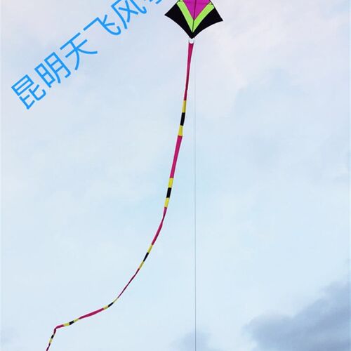 天飞高档冲天追抗风王风筝设计独特高1.5*1.8尾25米抗1.5-7级风