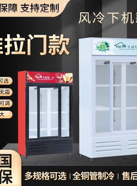 拉门立式双门保鲜饮料柜啤酒冷藏展示柜水果熟食冷饮移门冷藏柜