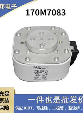 170M6169 170M6170 170M6171原装低压快速熔断器 熔芯 保险丝