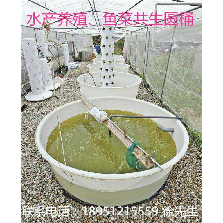 优质加厚大口塑料水海产育苗养殖圆桶 大连海带海参加工桶食品级