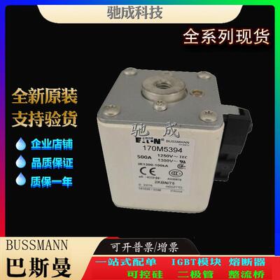 巴斯曼170M5392 170M5393 170M5394 长期销售价优 快速熔断器