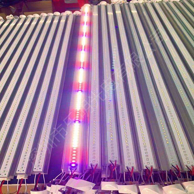 厂家LED植物生长灯管全光谱白红蓝光T8一体化植物补光灯红蓝,鲜花速递/花卉仿真/绿植园艺,割草机/草坪机,淘宝优惠券,粉丝福利购,淘宝优惠卷