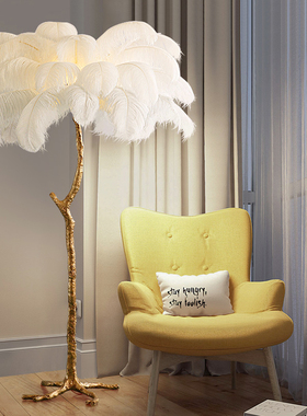 羽毛落地灯全铜台灯现代客厅沙发创意网红轻奢装饰卧室床头羽毛灯