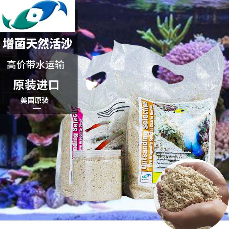 两只小鱼 人工真正活沙 粗 and 细 6.8KG