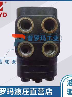 ZIHYD宁波中意液压马达 BHR1-100-Y50-P/C