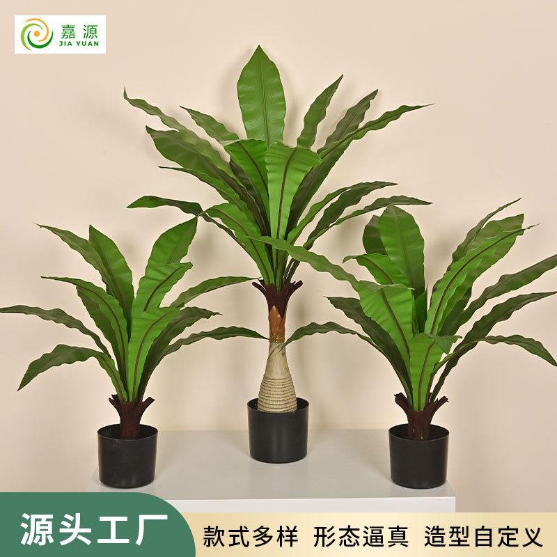仿真鸟巢叶手感软胶蕨类盆栽绿植家居商场装饰摄影道具摆设田园造