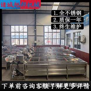 鲜辣椒净菜加工清洗设备 油桃鼓浪气泡清洗机 西红柿循环式洗菜机