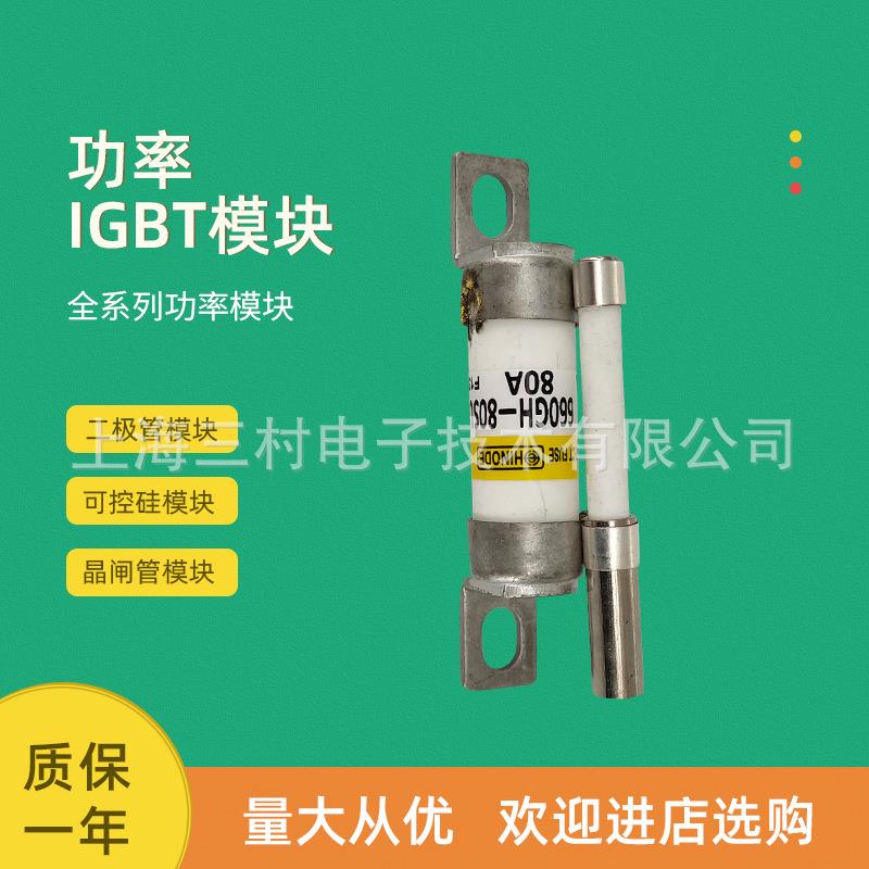 熔断器保险丝660GH-50 60 70 80 90 100 125 150 160 200 250S