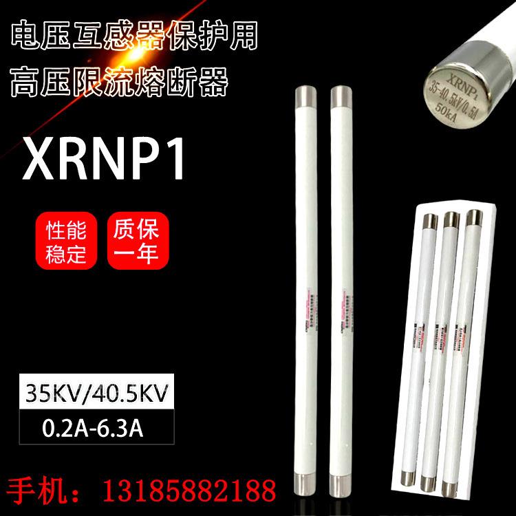 XRNP1-35-40.5KV/0.2A0.5A1A2A3A3.15A5A6.3A高压熔断器465*25mm