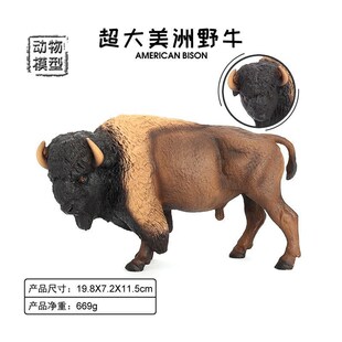 超大号美洲大野牛